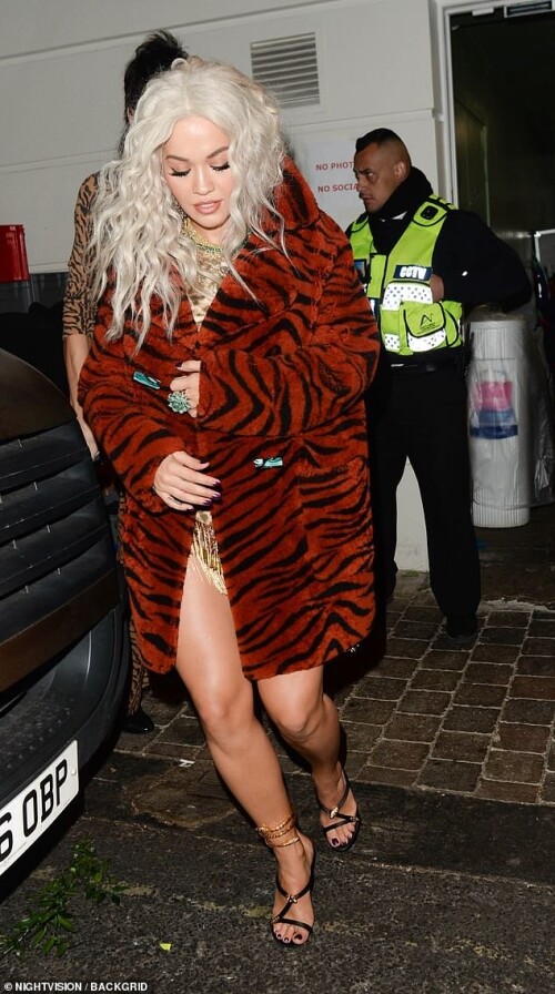 4622894-6220743-Wild_thing_Rita_Ora_took_a_walk_on_the_wild_side_as_she_attended-m-37_1538177352068.jpg
